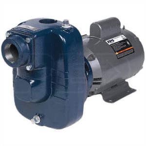 Franklin Electric 3hp 220V single-phase self-priming centrifugal water pump