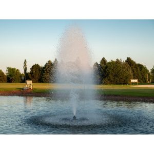 Eagle fountain